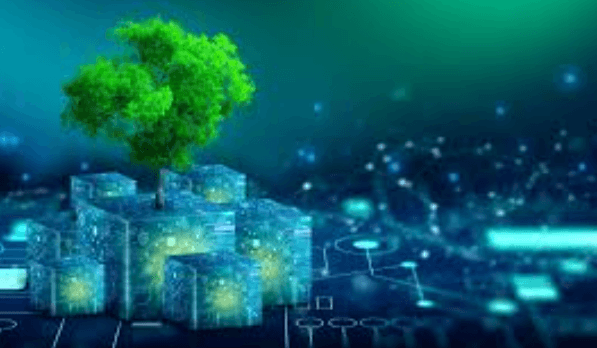 Eco-Friendly Digital Solutions
